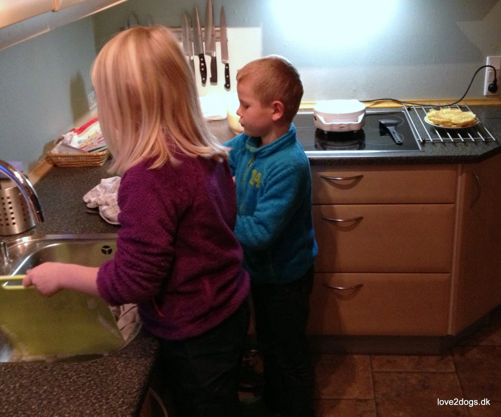 Børnearbejde - der skal vaskes op inden vi spiser dessert.