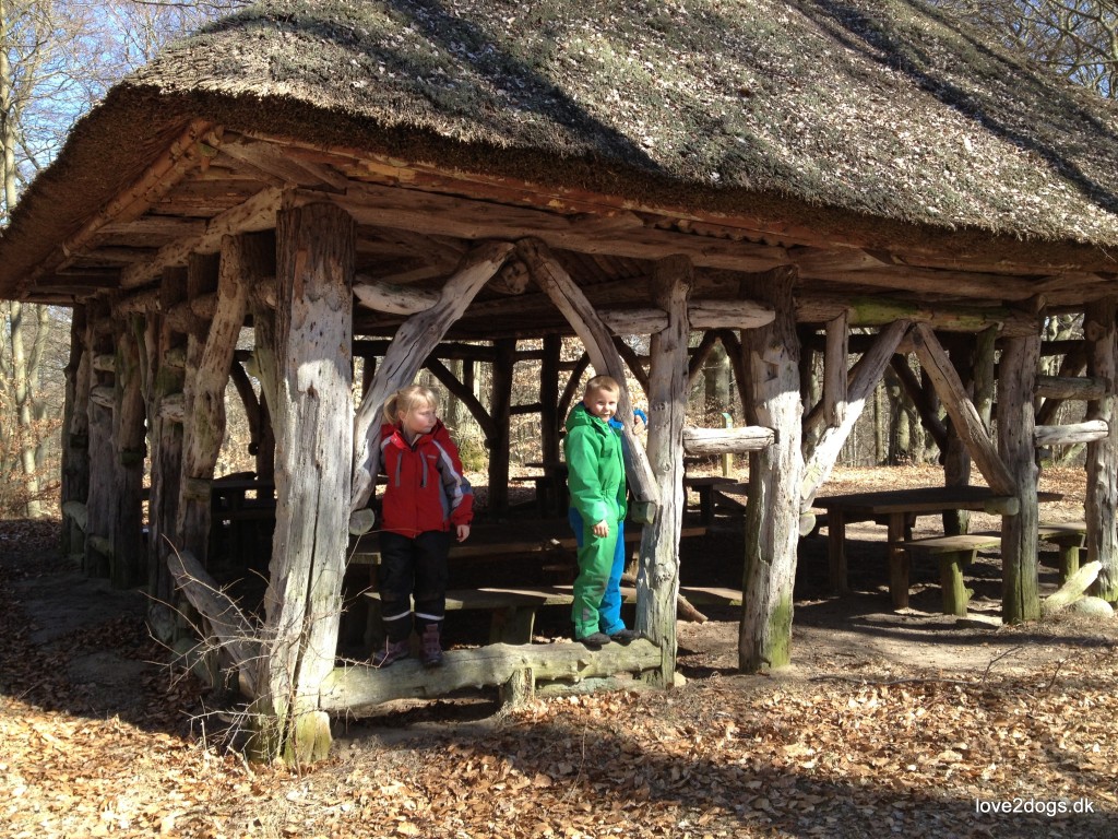 Jagthytten i Nordskoven