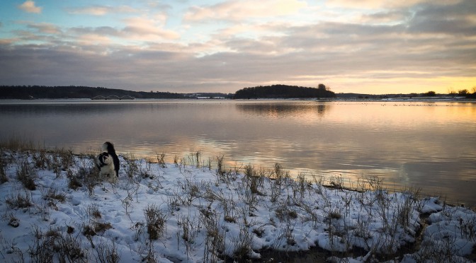 På fotoredigeringsskolebænken