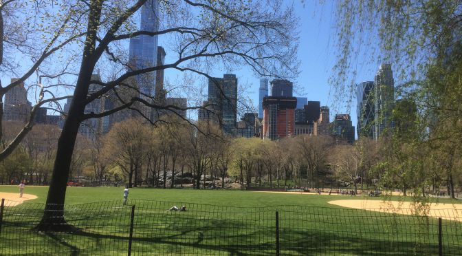 New York – Central Park og Sigthseeing